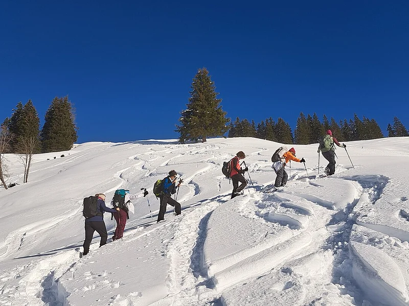 Sports de neige, raquettes, ski | Lara Mandioni Sports de neige, raquettes, ski | Lara Mandioni